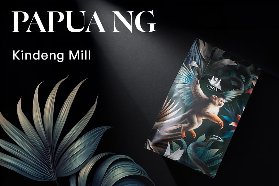 PAPUA NOUA GUINEE Kindeng Mill, Natural, 250g