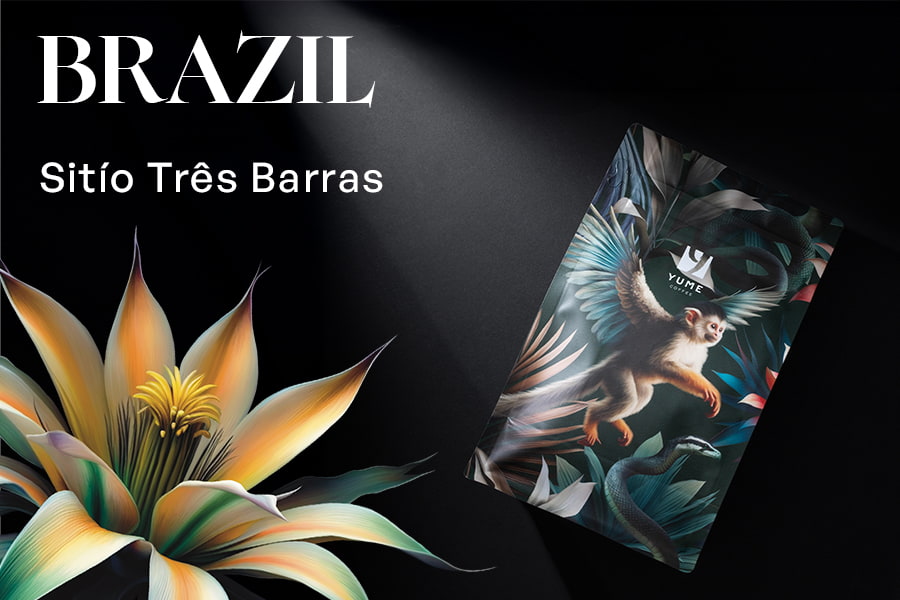 BRAZIL Sitío Três Barras, Patrícia Moreira de Mendonça, Obatã, Natural, 250g