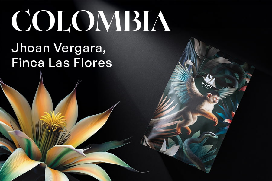 COLUMBIA Jhoan Vergara, Finca Las Flores, Chiroso, Naturală Thermal Shock, 88 pts 250g