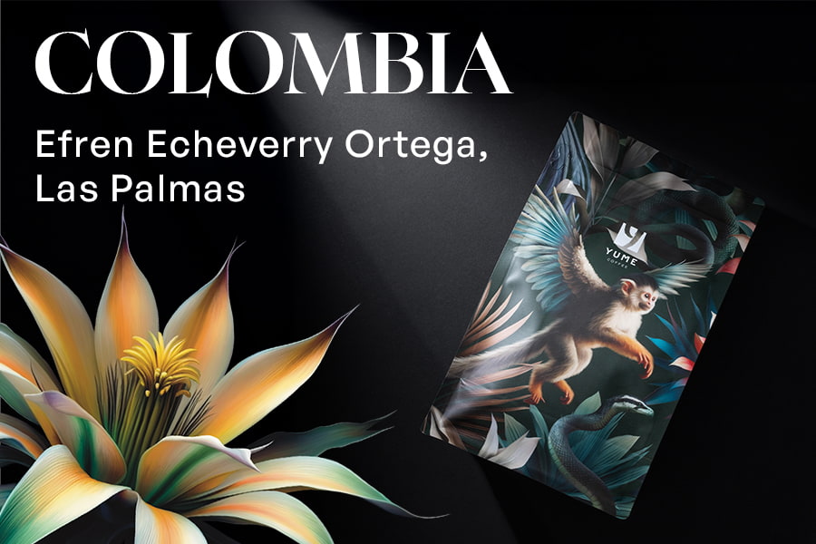 COLOMBIA Efren Echeverry Ortega, Las Palmas, Pink Bourbon, Anaerobic Natural, 250g