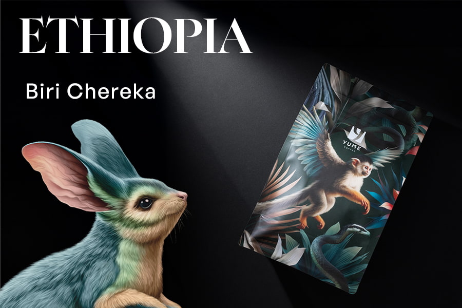 ETIOPIA Biri Chereka, Spălată, 250g