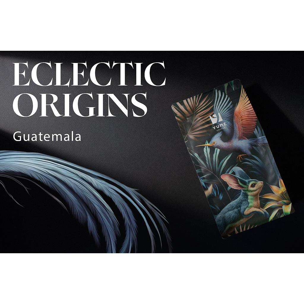 ECLECTIC ORIGINS GUATEMALA, 500g