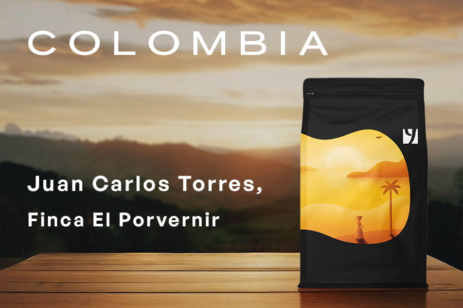 COLOMBIA Juan Carlos Torres, Finca El Porvernir, Le Champagne,  Natural /Anaerobic 140 hours, 250g