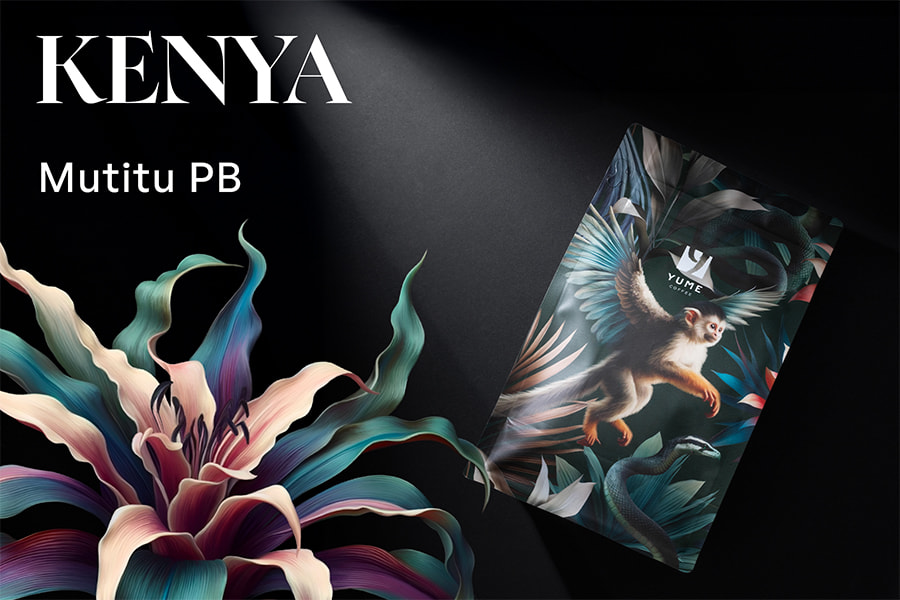 KENYA Mutitu PB, Washed, 250g