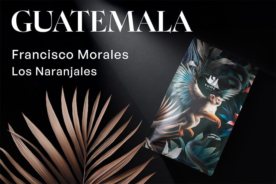 GUATEMALA Francisco Morales, Los Naranjales, Spălată, 250g
