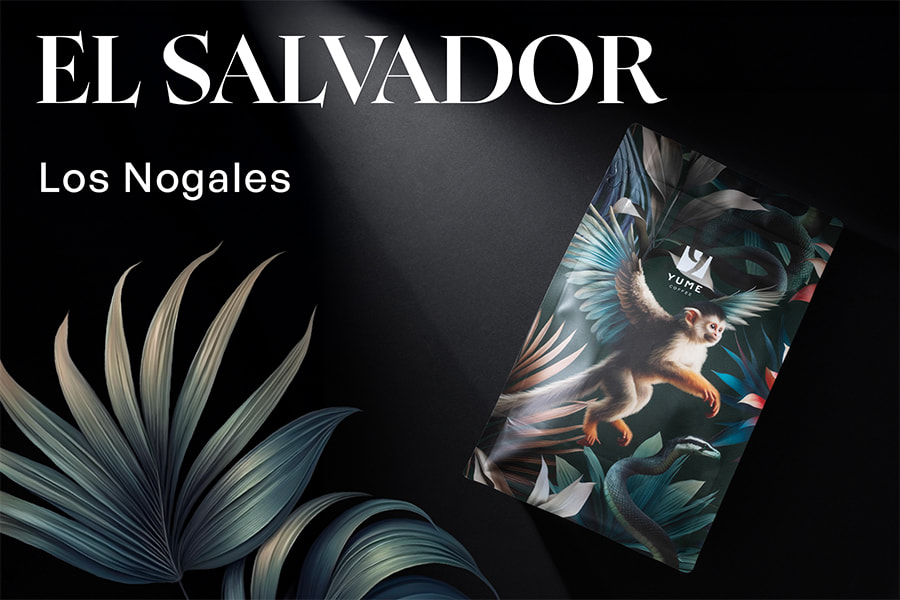 EL SALVADOR Los Nogales, Catuai, Black Honey, 250 g