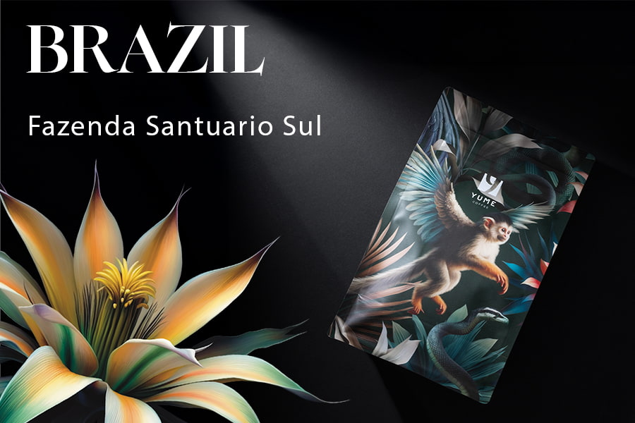 BRAZIL Fazenda Santuario Sul, SL-28, Natural Anaerobic, 250g