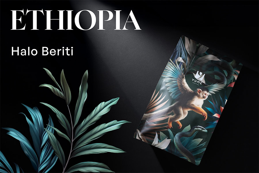 ETHIOPIA Halo Beriti Gr. 1, Natural, 250g