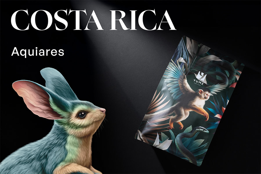 COSTA RICA Aquiares, Caturra, Washed, 250g
