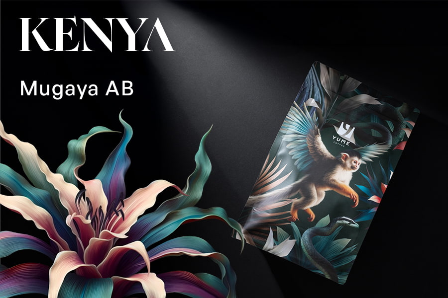 KENYA Mugaya AB , Spălată, 250g