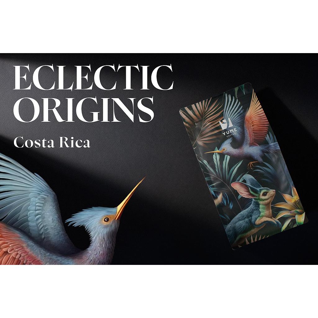 ECLECTIC ORIGINS COSTA RICA, 500g