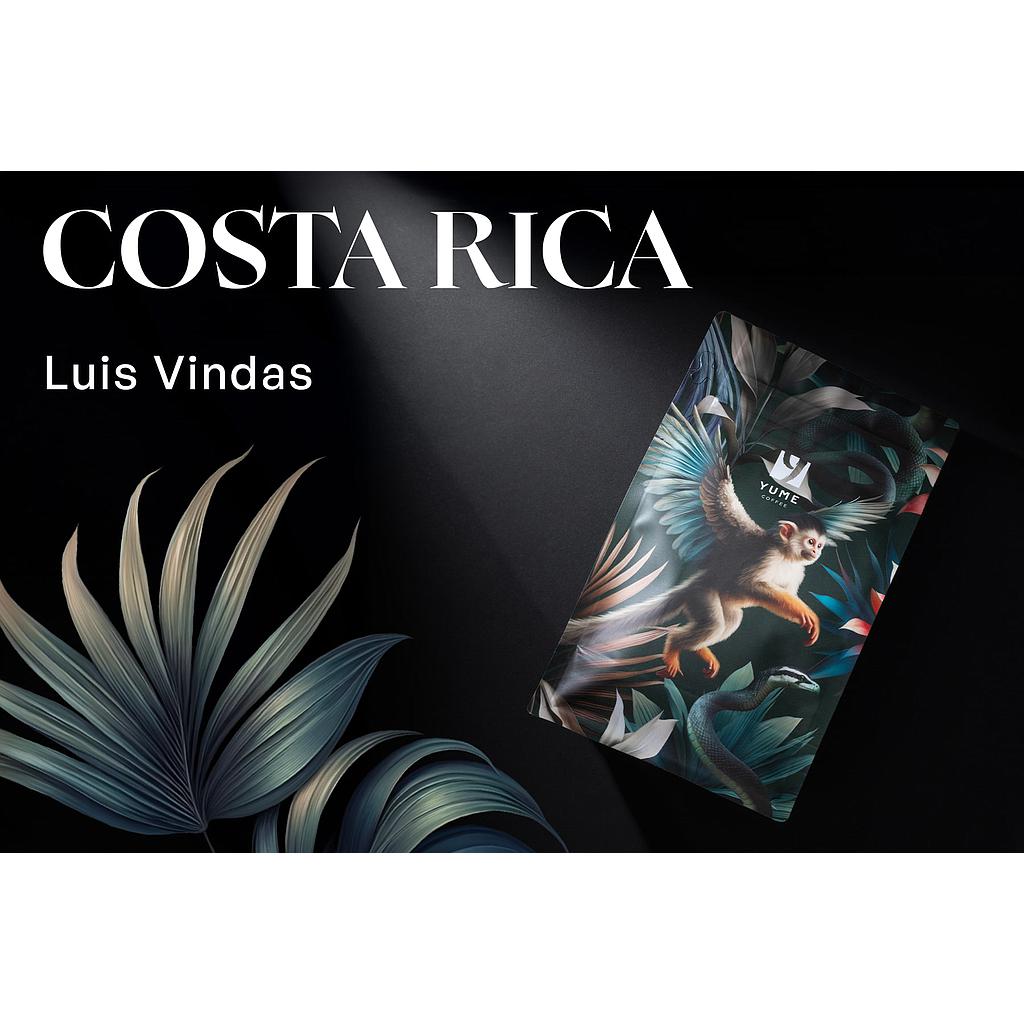 COSTA RICA Luis Vindas, Red Catuai, Long Honey, 250g