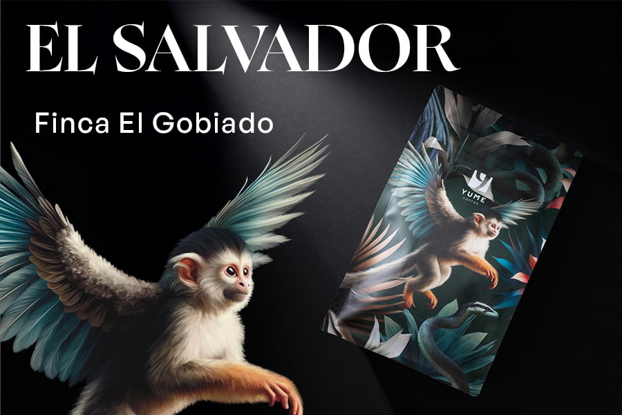 EL SALVADOR Finca El Gobiado, Orange Bourbon, Natural Anaerobic, 250g