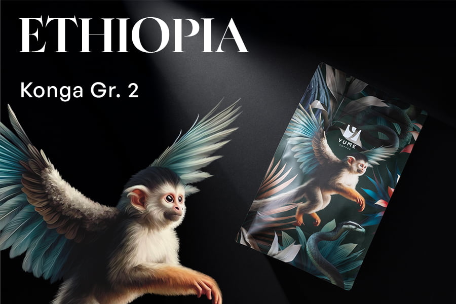ETIOPIA Konga Gr. 2, Spălată, 250g