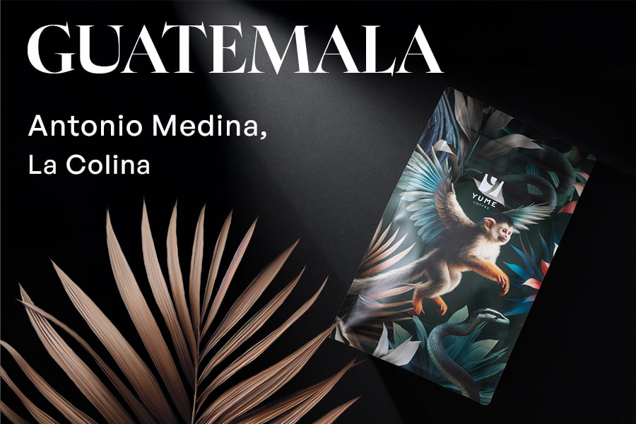 GUATEMALA Antonio Medina, La Colina, Caturra, Spălată, 250g