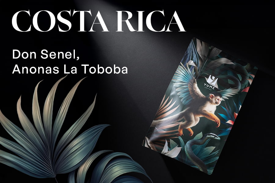COSTA RICA Don Senel, Anonas La Toboba, Catuai, Black Honey, 250g