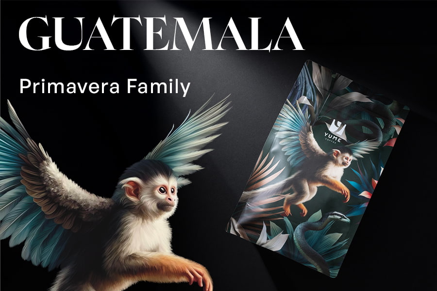 GUATEMALA Primavera Family, Spălată, 250g