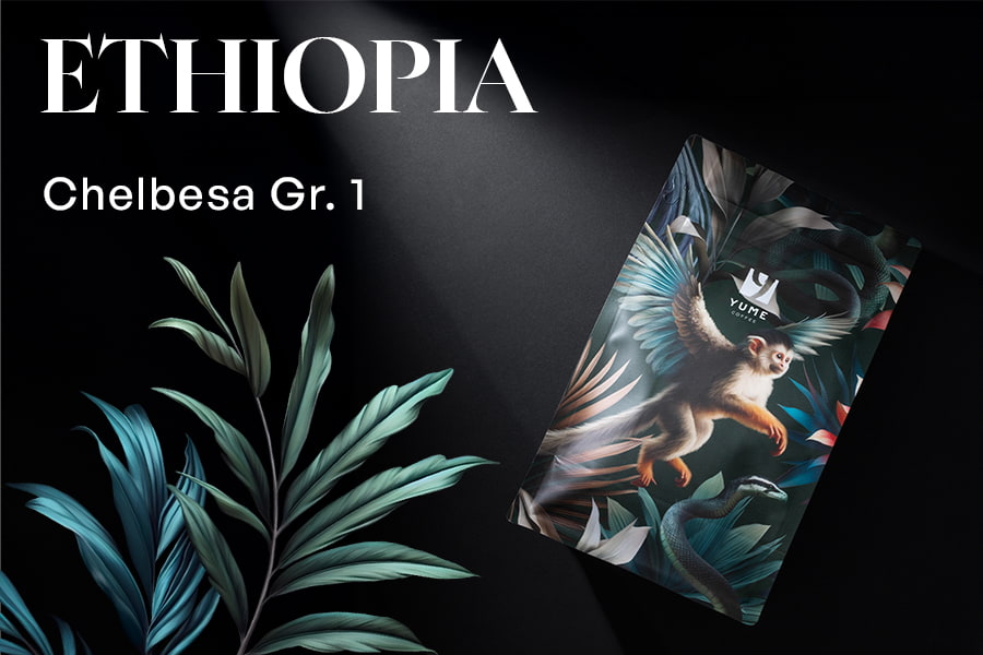 ETIOPIA Chelbesa, Fermentare uscată, 250g