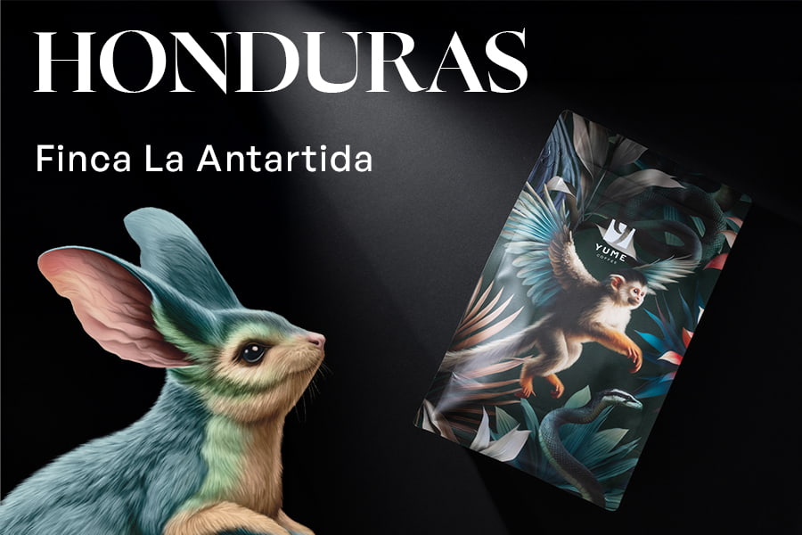 HONDURAS Finca La Antartida, Honey, 250g