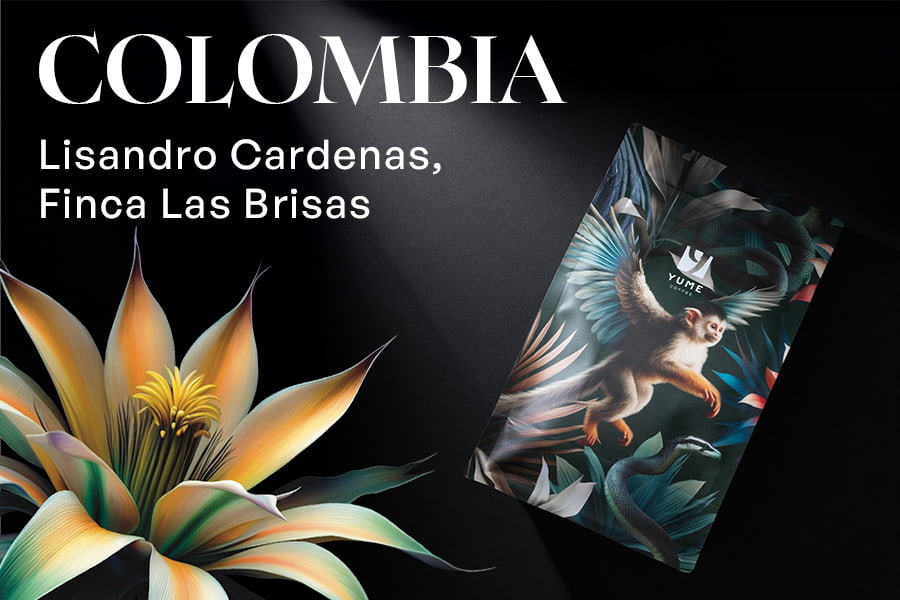 COLOMBIA Lisandro Cardenas, Finca Las Brisas, Pink Bourbon, Natural, 250g