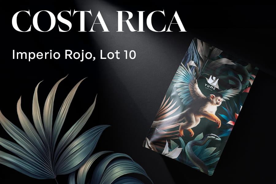 COSTA RICA Imperio Rojo, Lot 10, Natural, 250g