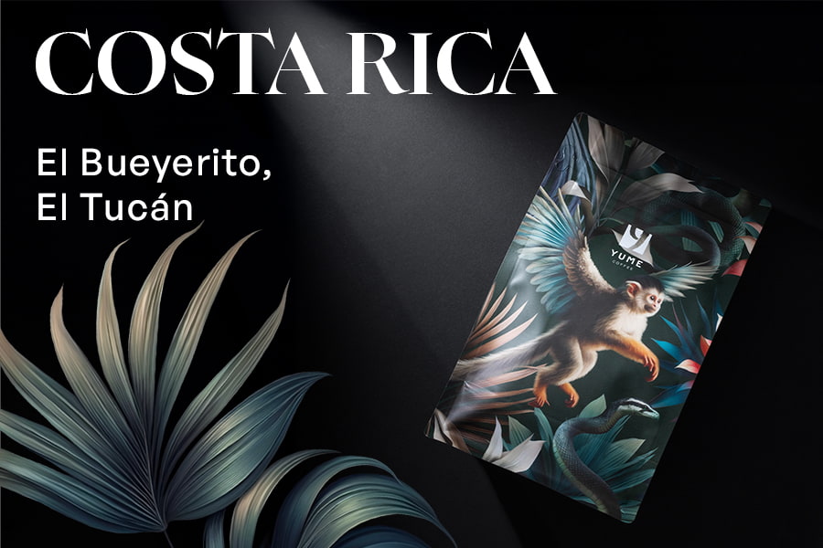 COSTA RICA El Bueyerito, El Tucán, Victoria 14, Spălată, 250g