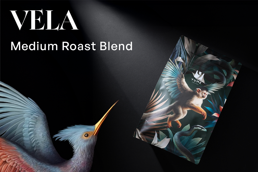 VELA MEDIUM ROAST BLEND, 1000g