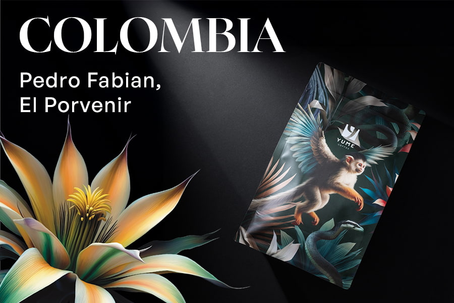 COLUMBIA Pedro Fabian, El Porvenir, Wush Wush, Spălată, 250g