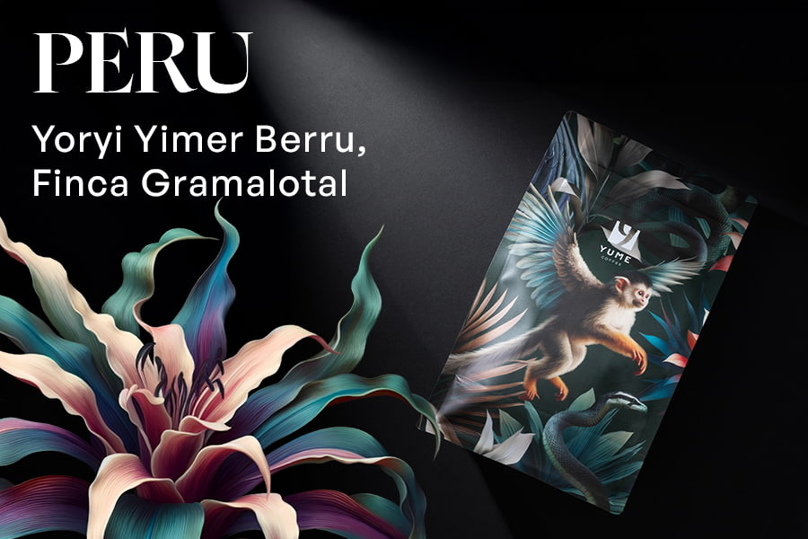 PERU Yoryi Yimer Berru, Finca Gramalotal, Gesha, Spălată, 250g