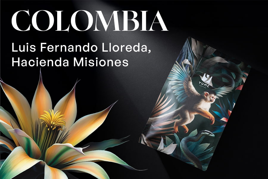 COLUMBIA Luis Fernando Lloreda, Hacienda Misiones, Sudan Rumé, Naturală, 250g