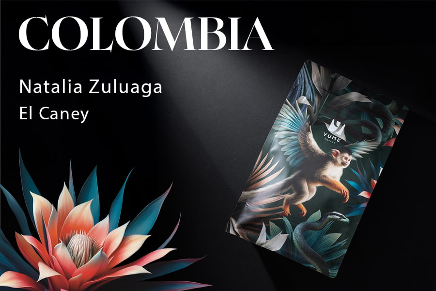COLUMBIA Natalia Zuluaga, El Caney, Caturra, Anaerobică Naturală 90 ore, 250g
