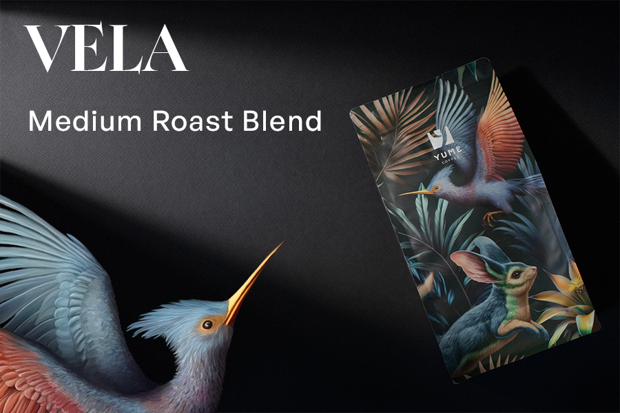 VELA MEDIUM ROAST BLEND, 500g