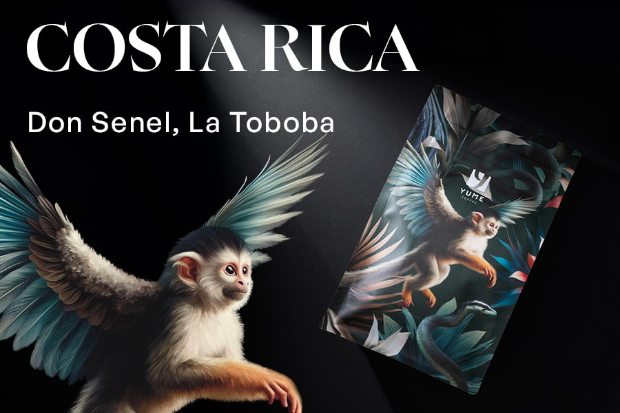COSTA RICA Don Senel, La Toboba, Catigua, Naturală, 250g