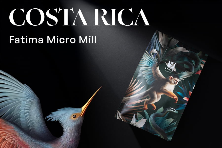 COSTA RICA Fatima Micro Mill, Typica, Dublă Spălare, 250g