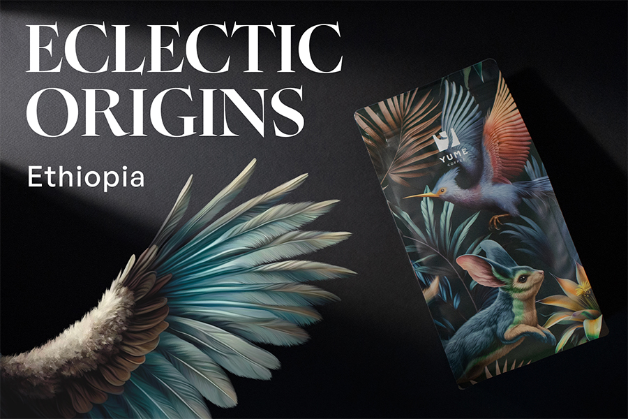 ECLECTIC ORIGINS ETHIOPIA, 500g