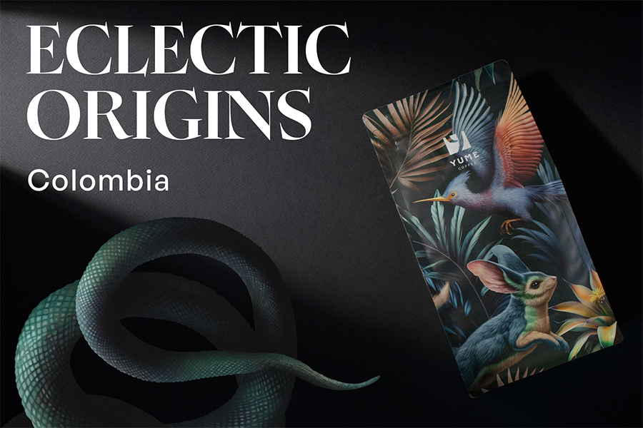 ECLECTIC ORIGINS COLUMBIA, 500g