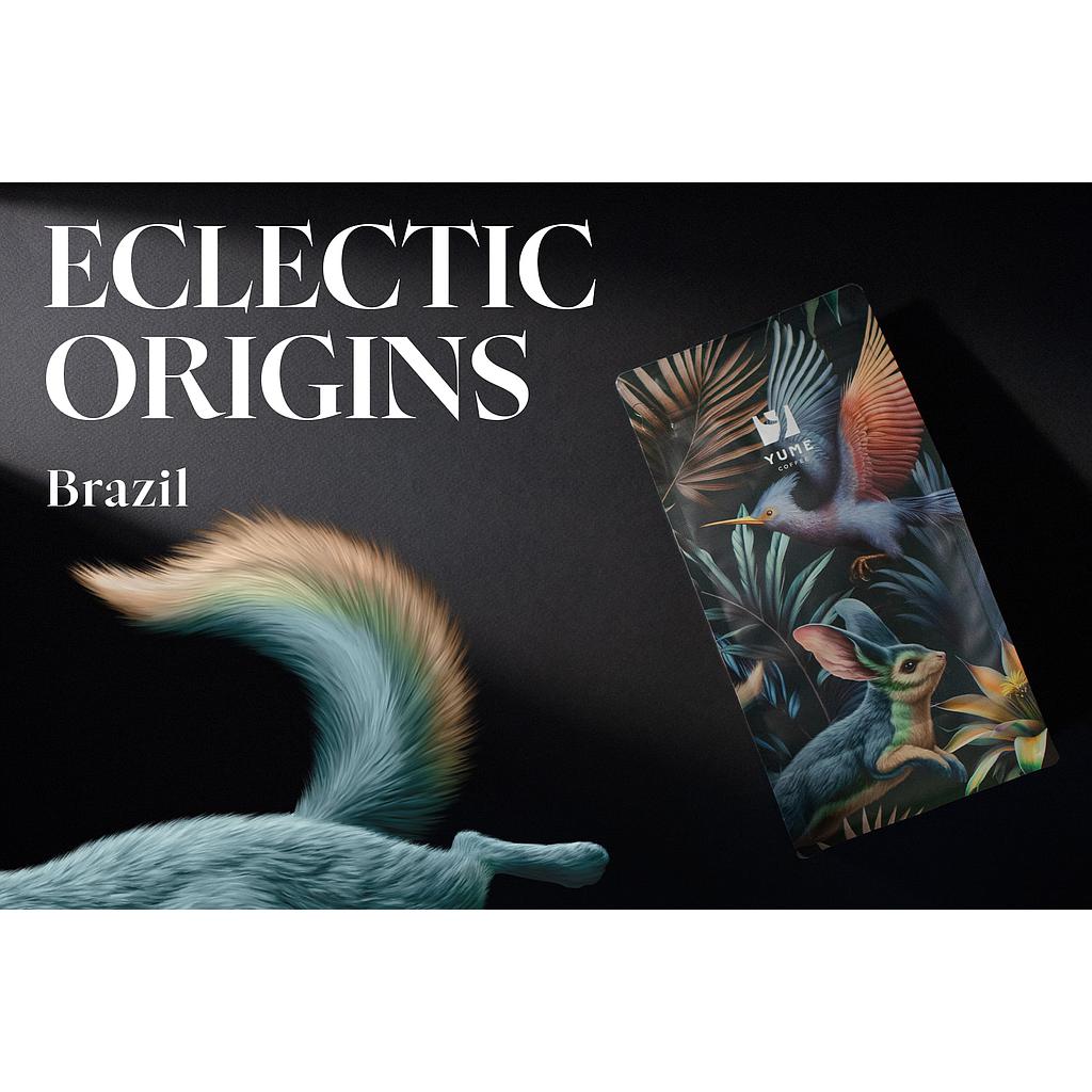 ECLECTIC ORIGINS BRAZILIA, 500g